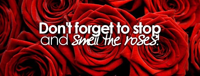 “Smell the Roses?”